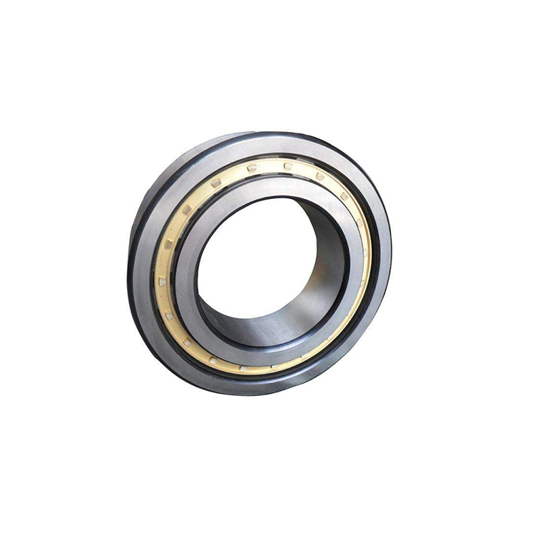 N202 cylindrical roller bearing